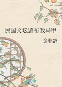 民国文高质量